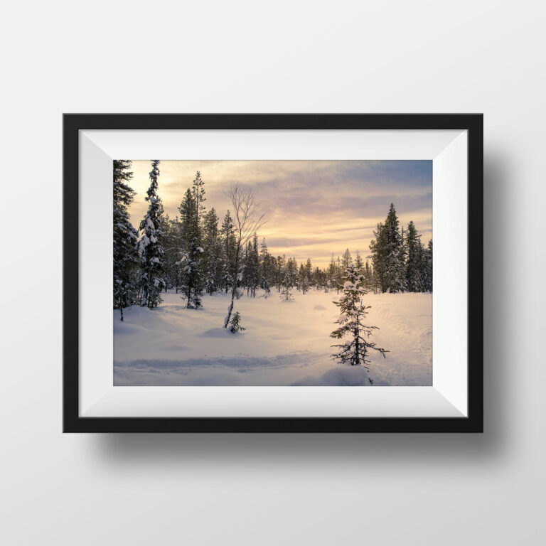 Tirage Photo Couleur Laponie Neige – Décoration Murale