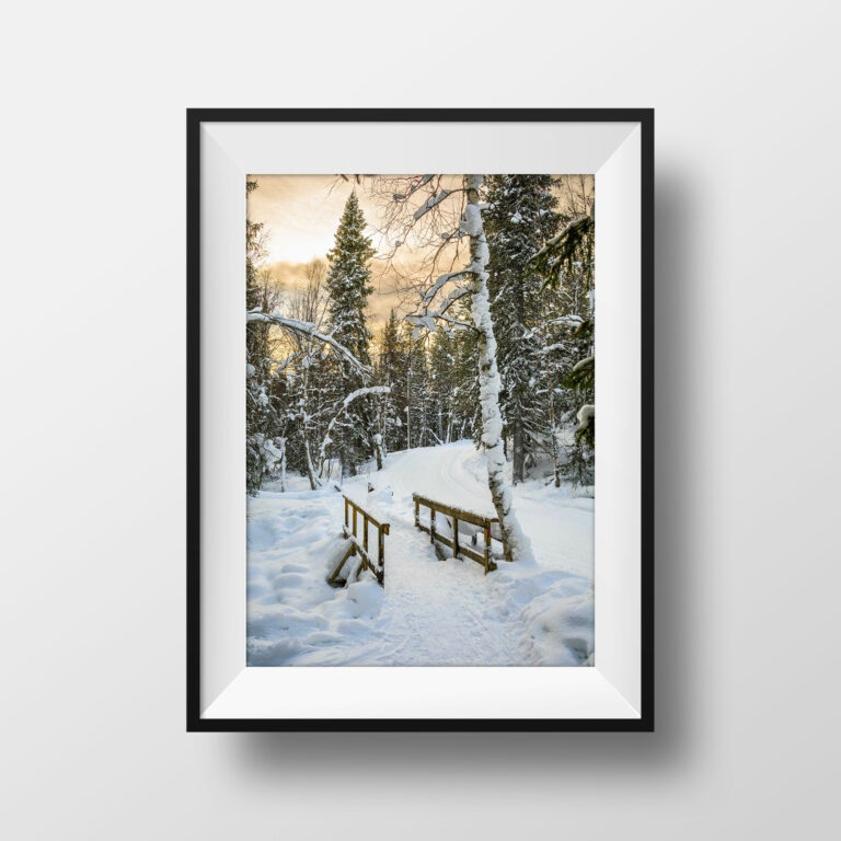 Tirage Photo Couleur – Tirage Photo Laponie – Finlande Paysage Neige – Tirage photo couleur